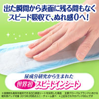 軽失禁 尿漏れ ライフリーさわやかパッド 100cc60枚    1セット（1個×5） ユニ・チャーム