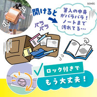 ソニック うかサポ えんぴつチェックα両面筆入 ロック付 ライトブルー FD-2529-LB 1個（直送品）