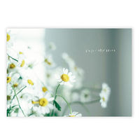 学研ステイフル メッセージブック Thank You 感謝 もなみん ソーダ 封筒付 E10084 1冊（直送品）