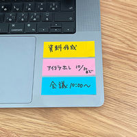 ラベルメモ 25×75mm 50枚×3色入 ブリリアントピンク、ブリリアントイエロー、ウルトラブルー 1806-0000-0290（直送品）