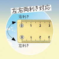 共栄プラスチック そら色じょうぎ 17cm SO-17-02 1本（直送品）