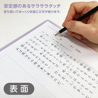 共栄プラスチック そら色したじき A4 SO-A4-03 1枚（直送品）