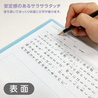 共栄プラスチック そら色したじき A4 SO-A4-01 1枚（直送品）