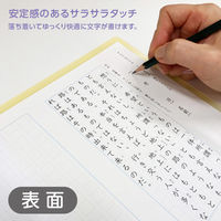 共栄プラスチック そら色したじき A4 SO-A4-02 1枚（直送品）