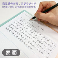 共栄プラスチック そら色したじき A4 SO-A4-05 1枚（直送品）