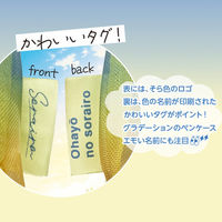 共栄プラスチック そら色ペンケース SO-P-02 1個（直送品）