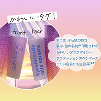 共栄プラスチック そら色ペンケース SO-P-03 1個（直送品）