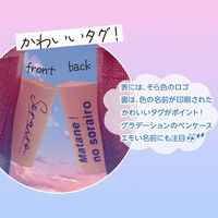 共栄プラスチック そら色ペンケース SO-P-04 1個（直送品）