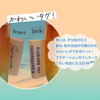 共栄プラスチック そら色ペンケース SO-P-05 1個（直送品）