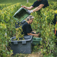 モエ・エ・シャンドン ネクター アンペリアル ロゼ（N.I.R) 750ml 1本　ギフトカード　スタンダード封筒（直送品）