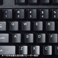 サンワサプライ 英語PS/2キーボード SKB-E5PBK 1台