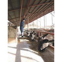 【手土産やお祝いの贈り物に】 広島県産 神石牛 ロースうすぎり ギフトカード　二重封筒（直送品）