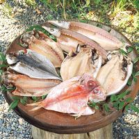 【手土産やお祝いの贈り物に】 静岡　沼津「奥和」無添加干物　計3種5枚 ギフトカード　桐箱　紙袋　熨斗　御中元（直送品）