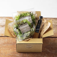 【手土産や贈り物に】 Ortolano オルトラーノ 野菜定期便  (Sコース4回お届け) ギフトカード　二重封筒　熨斗（御中元）（直送品）