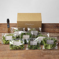 【手土産や贈り物に】 Ortolano オルトラーノ 野菜定期便  (Mコース4回お届け) ギフトカード　二重封筒　熨斗（御祝）（直送品）