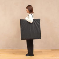 シャディ nishikawa ごろ寝マット スイート 26-0168-123 1袋（直送品）