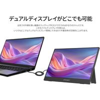 JAPANNEXT 13.3インチ ワイド モバイルモニター JNーMDーIPS133F 1台