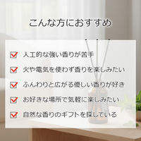ASH AROMA リードディフューザー トワイライト・ラベンダー de0000037 1セット(スティック3本付)（直送品）