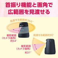 パナソニック HDペットカメラ KX-HDN215-K ブラック 転倒防止構造 音センサー 温度センサー 首振り機能 会話機能 200万画素