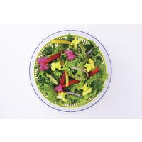 和平フレイズ キッチンアシスト 回転式野菜水切り器24cm KR-7339 1個