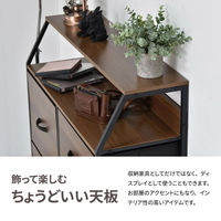 【軒先渡し】B.Bファニシング Regal 棚付きリビングチェスト ハイタイプ 幅845×奥行315×高さ870mm ナチュラル 1台（直送品）