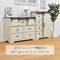 【軒先渡し】B.Bファニシング house スライドドア付きチェスト4段Farm ハイタイプ ダークブラウン 1台（直送品）