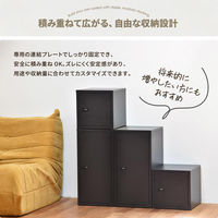 【軒先渡し】B.Bファニシング ロック付き収納 レクタンボックスS 幅300×奥行360×高さ300mm ベージュ 1台（直送品）