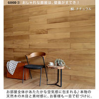 SOLIDECO -PRO- 壁に貼れる天然木パネル 44枚組(約6.64m2) SLDC-44P-P001KRI 1セット(44枚入)（直送品）