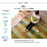 イケヒコ アルディ い草カーペット 1400×2000mm グリーン 1051310122303 1枚（直送品）