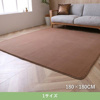 イケヒコ ウイン カーペット 1800×1800mm ブラウン 1281151061203 1枚（直送品）