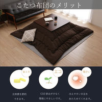 イケヒコ TWワッフル ブラウン 200×300cm 1330220060902 1個（直送品）