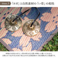 イケヒコ SAKURA富士 - 60×180cm 1330180010204 1個（直送品）