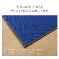 イケヒコ プラウド ローズ 60×180cm 1330870250204 1個（直送品）