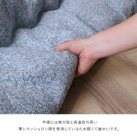 イケヒコ プレーン ベージュ 200×300cm 1331360020902 1個（直送品）