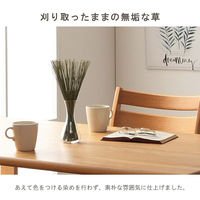 イケヒコ みらい フレグラス 300mm 1370090011004 1枚（直送品）