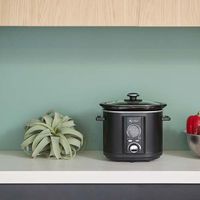 アルファックスコイズミ スロークッカーミニ ASC20/K 1台