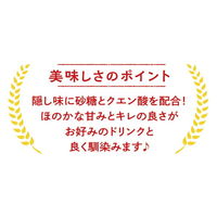 酎ハイ専科 サワーの素 1.8L 1セット（3本）　合同酒精 リキュール　業務用　大容量