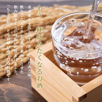 月桂冠 辛口 パック 2L 1セット（3本）  日本酒