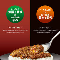 ハウス食品 しっかり濃厚スパイスキーマカレー　1セット（1個（150g）×2）　レトルト　レンジ対応