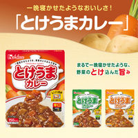 ハウス食品 レトルト とけうまカレー　辛口　1セット（1個（170g）×3）　レンジ対応