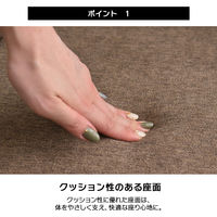 タマリビング ダイニングチェア シェルセラ 2脚入 ブラウン 1セット（2脚入）（直送品）