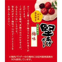 ポテトチップス 食べきりサイズ 堅あげポテト 梅味 60g 1セット（1個×12）