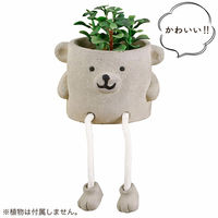 Habiter(アビテ) アニマル・レストポット JLA-801-KU 1個（直送品）