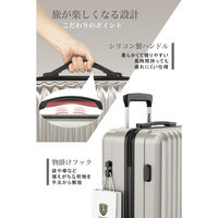 超軽量・ストッパー付Wキャスター・物掛けフック【NT-GB0701 Plus 】 NT-GB0701 Plusオートミールグレー S 1台（直送品）