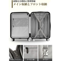 超軽量・ストッパー付Wキャスター・物掛けフック【NT-GB0701 Plus 】 NT-GB0701 Plusホワイト L 1台（直送品）