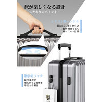 超軽量・ストッパー付Wキャスター・物掛けフック【NT-GB0701 Plus 】 NT-GB0701 Plusグレー S 1台（直送品）