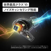 JVCケンウッド WOOD master 完全ワイヤレスイヤホン HA-FW5000T HA-FW5000T-T 1個（直送品）