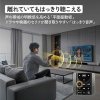 JVCケンウッド WOOD CONEサウンドバー TH-WD05 TH-WD05-T 1台（直送品）