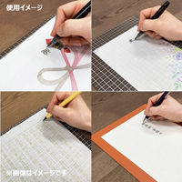 共栄プラスチック Kiwami ライティングマット下敷き ブラウン&キャメル WMS-B5-RBC 1枚（直送品）