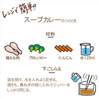 ヤマキ レンジで作る和だしスープカレーの素 50g 1個